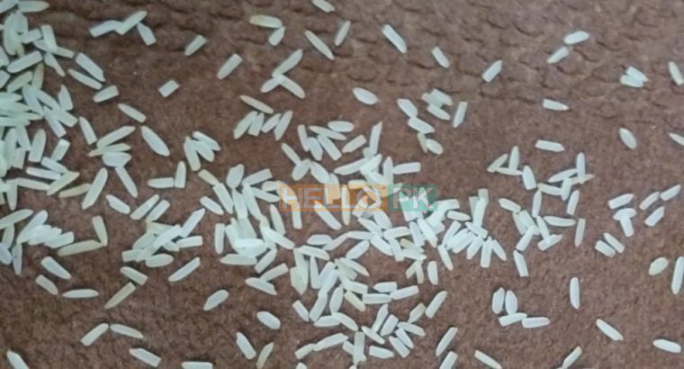 1121 sella ki short grain sortex vip 100% puer mal available