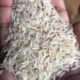 Super Kranl basmati rice 1500 bori malik brothers rice mills in Sialkot.