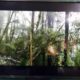 Special Discount Offer Samsung 32″ LED.One year Warranty.all LED size Available