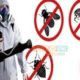 Defence Pest Control fumigation services in karachi, pest control, fumigation
