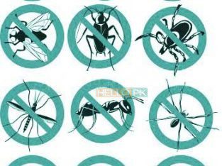 Khatmal.demak.Cockroaches.rats ka 100% yaqini khatma & water Tank Cleaning Leakage Sepage