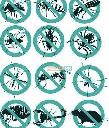 Khatmal.demak.Cockroaches.rats ka 100% yaqini khatma & water Tank Cleaning Leakage Sepage