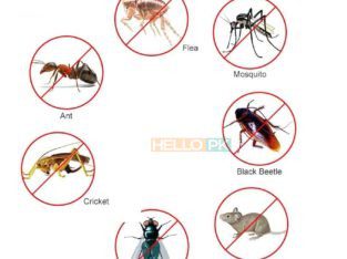 100% Demak Khatmal Lal Bag Bathroom Leakage & Roof Heat Control Tank Cleaning