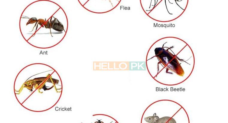 100% Demak Khatmal Lal Bag Bathroom Leakage & Roof Heat Control Tank Cleaning