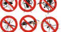First ISO Certified Pest Management Company.Termite,Cockroaches,Mosquitoes,Flies,Rats Control