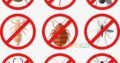 All kind of Fumigation Guaranteed Services…RBC Pest Control