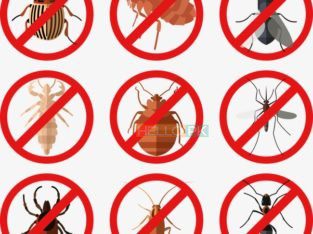 All kind of Fumigation Guaranteed Services…RBC Pest Control