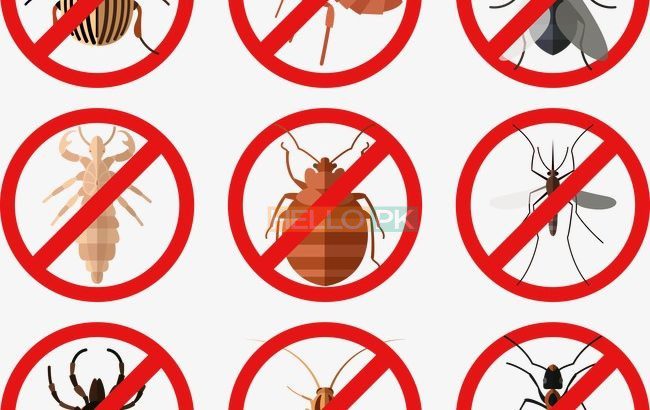 All kind of Fumigation Guaranteed Services…RBC Pest Control
