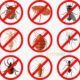 All kind of Fumigation Guaranteed Services…RBC Pest Control