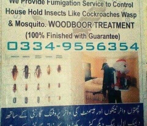 Home Maintenance Specialist in Fumigation With Guarantee. Furniture Cleaning.Water Tank Cleaning.