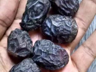 Ajwa Dates 2400 rupees 1 kg normal size free home delivery in all over Karachi
