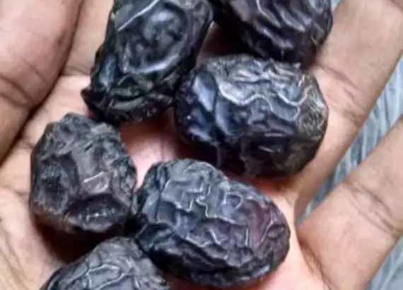 Ajwa Dates 2400 rupees 1 kg normal size free home delivery in all over Karachi
