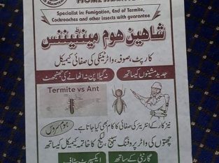 Home Maintenance Specialist in Fumigation With Guarantee. Furniture Cleaning.Water Tank Cleaning.