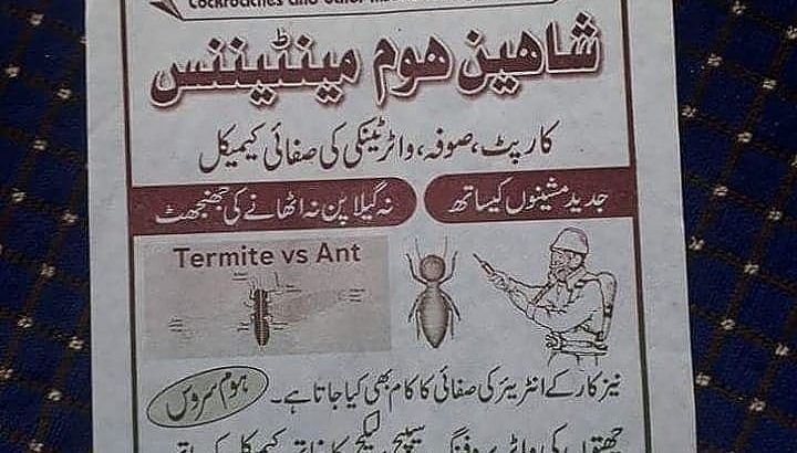 Home Maintenance Specialist in Fumigation With Guarantee. Furniture Cleaning.Water Tank Cleaning.