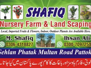 Nursery farm & landscaping.Local,imported fruits & flowers,indoor,outdoor plants are available