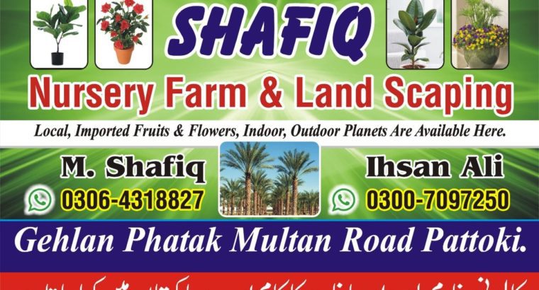 Nursery farm & landscaping.Local,imported fruits & flowers,indoor,outdoor plants are available
