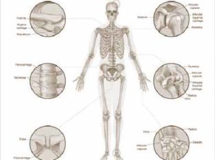 Kamar or Garden ke Mohro me Fasla.,Disk Slip,Mohro ka ghis jana.Joints Specialist