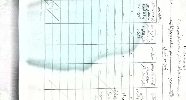 Commercial Plot 14 Acre Shah Faisal No.2 Near Police Station for Sell