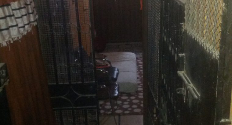 Luxury Portion (2 bed,1Drawing-Dinning, 1 Launch) for urgent sale