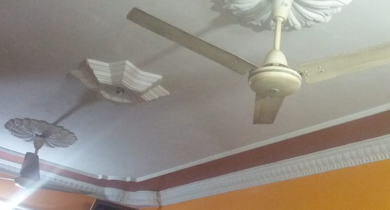 Luxury Portion (2 bed,1Drawing-Dinning, 1 Launch) for urgent sale