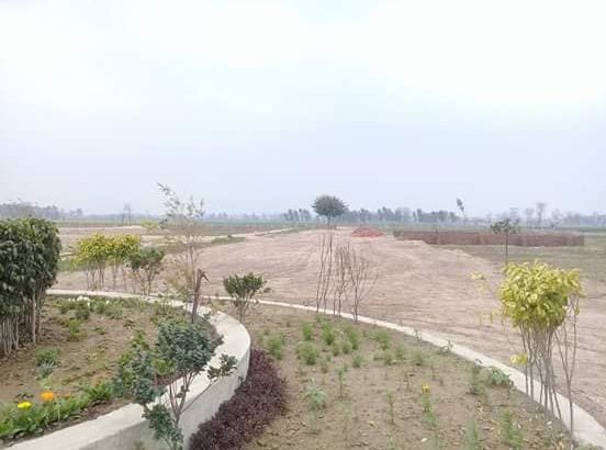Best time for investment.8 marla plot for sale 44 foot frount Rs 18 lac
