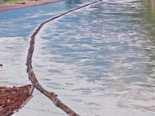 Royall Tours & travel Offers Honey Moon Packages.Group Tours.Corporate Tours & Family Trips