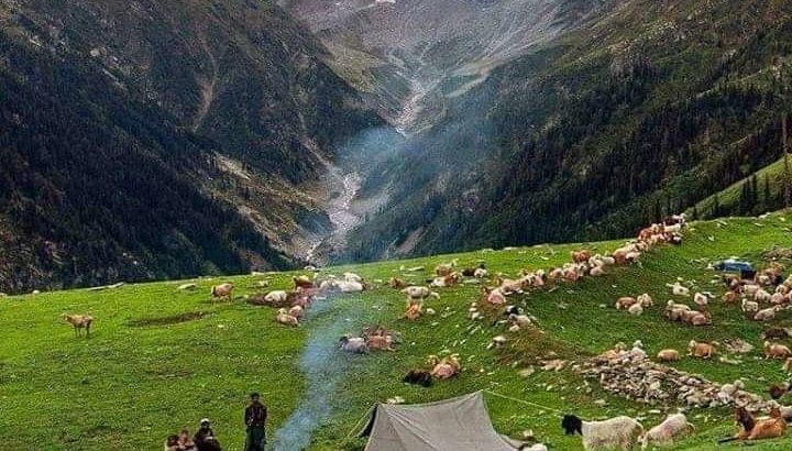 Inter to Heaven.Neelum Valley.Full of Fun & adventures.3 Days 2 Nights.Join Us