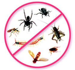 Deemk khatml cockroach.Leakage/Roof heat.Tank cleaning