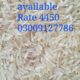 Best Quality 1121 Sella Rice Colour Sort Available