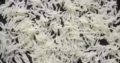Super Quality Rice Sella 1121 kainat On whole Sale.Double Steam Process Rice