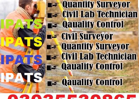 Accounting (Quick Books, Peach tree, Talley, SAGE, SAP-ERP