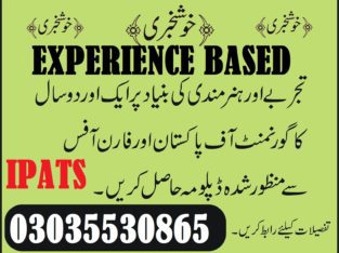 Civil Diploma Courses in Rawalpindi Computer Courses, DIT , CIT, AutoCAD 2D+3D