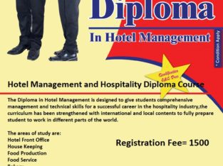 Diploma in Teaching Skills for Educators Course