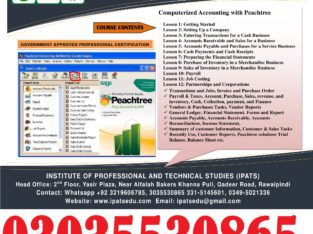 Peachtree Pro Accounting 2009