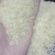 Super Quality Rice Sella 1121 kainat On whole Sale.Double Steam Process Rice
