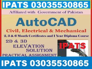 Accounting (Quick Books, Peach tree, Talley, SAGE, SAP-ERP