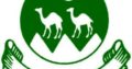 Balochistan Govt JOBS | With Assistance Of UNICEF Balochistan.Apply Now