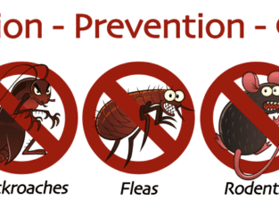 Termite Fumigation,Rats,Rodent Control Kitchen Gell Treatment No Smell