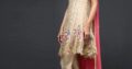 Premium Quality Zainab Chottani Lawn.Delivery All Pakistan