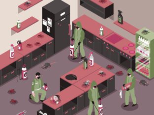 Insect Problem?.Call The Professionals.Pest Off Fumigation