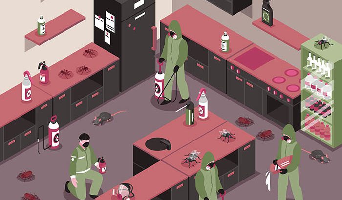 Insect Problem?.Call The Professionals.Pest Off Fumigation