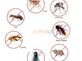 Khatmal Demaak Lal Bag Rats.100% Khatma.Heat Proofing Services