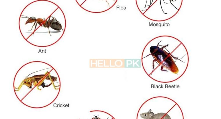 Khatmal Demaak Lal Bag Rats.100% Khatma.Heat Proofing Services