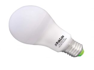 12 Watt Electric Bulb