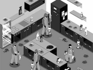 Best Fumigation Services.Water Proofing.Tank Cleaning.Bathroom Leakage