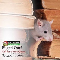 Premium Fumigation services in Karachi.Pest Control