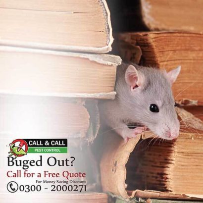 Premium Fumigation services in Karachi.Pest Control