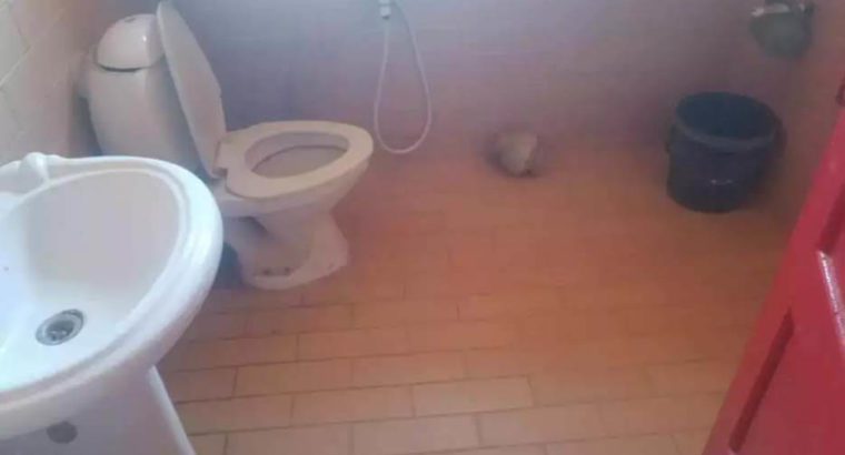 Hut For Picnic On Karachi Beach.Hut For Rent