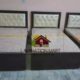 10 Years Guarantee.Single Modern Bed Mart