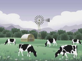 1000 To 4000 Yards Plots.Cattle Farm & Family Farmhouse.Fori Qabza Fori Tameer
